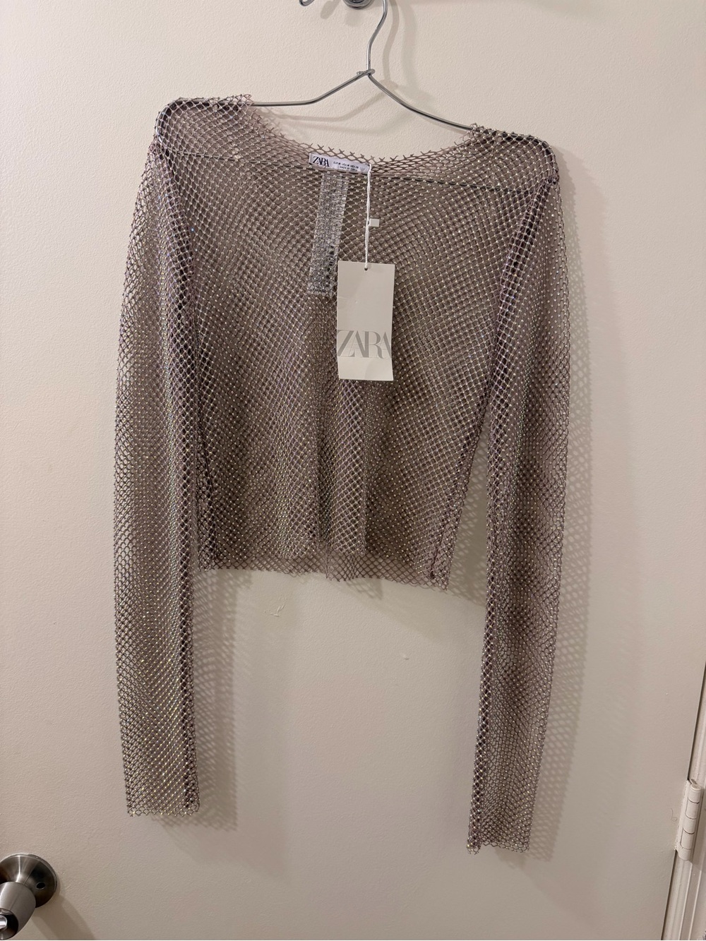 ZARA Metallic Mesh Long-Sleeve Top - Taupe